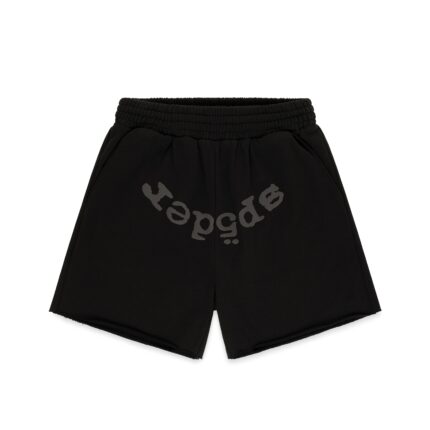 2025 SP5DER FLATS 77063 scaled