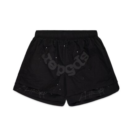 2025 SP5DER FLATS 88046 scaled